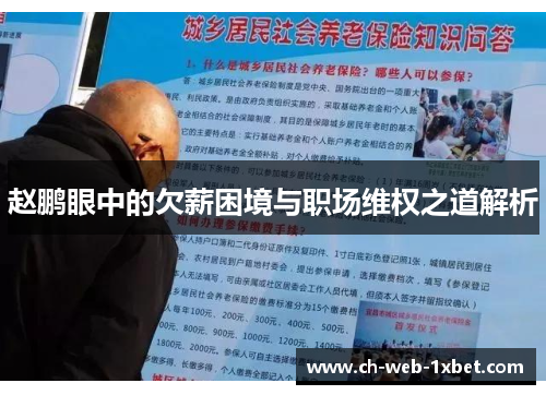 赵鹏眼中的欠薪困境与职场维权之道解析